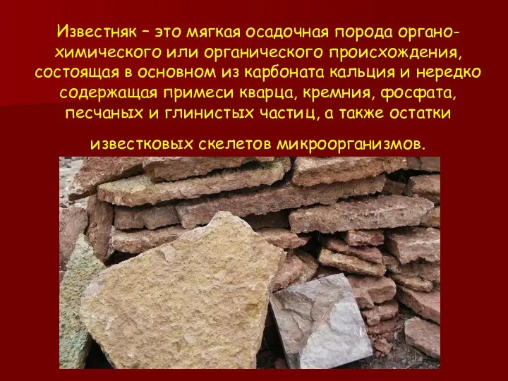 Известняк – это мягкая осадочная порода органо-химического или органического происхождения, состоящая