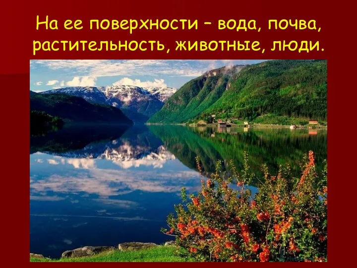 На ее поверхности – вода, почва, растительность, животные, люди.