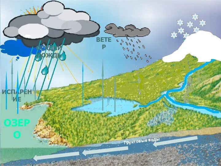 озеро испарение Конденсация пара Осадки дождь ветер Осадки снег Грунтовые воды