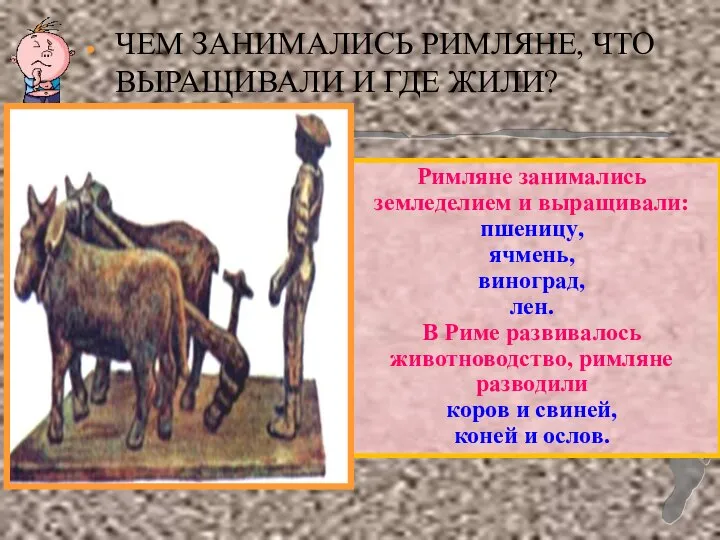 ЧЕМ ЗАНИМАЛИСЬ РИМЛЯНЕ, ЧТО ВЫРАЩИВАЛИ И ГДЕ ЖИЛИ? Римляне занимались земледелием