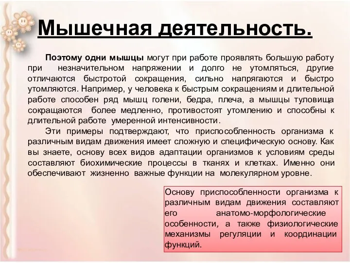 Мышечная деятельность. Поэтому одни мышцы могут при работе проявлять большую работу