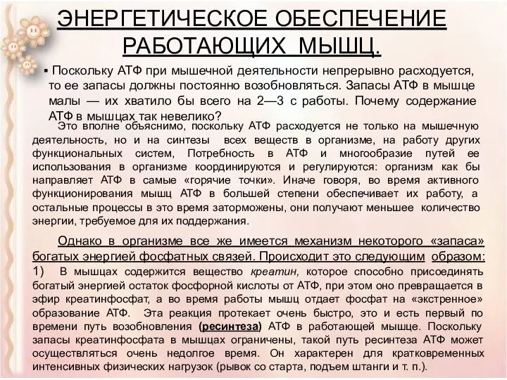 ЭНЕРГЕТИЧЕСКОЕ ОБЕСПЕЧЕНИЕ РАБОТАЮЩИХ МЫШЦ. Поскольку АТФ при мышечной деятельности непрерывно расходуется,