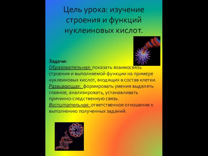 Цель урока: изучение строения и функций нуклеиновых кислот. Задачи: Образовательная: показать