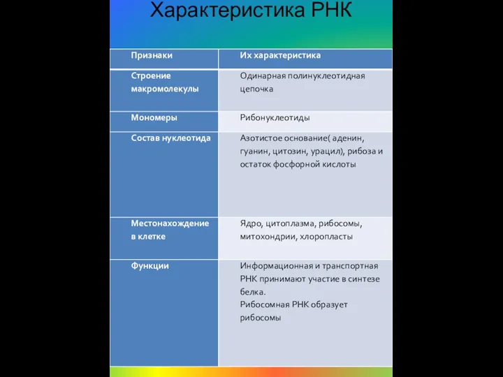 Характеристика РНК