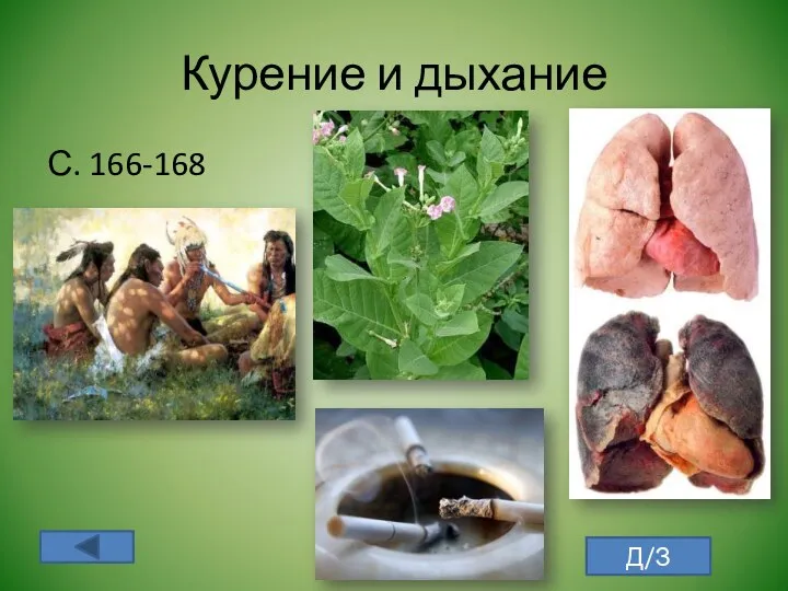 Курение и дыхание С. 166-168 Д/З