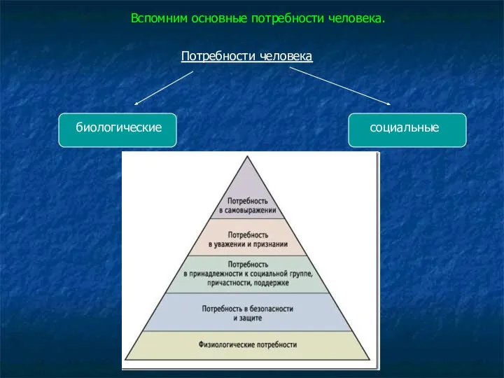 Потребности человека биологические социальные Вспомним основные потребности человека.