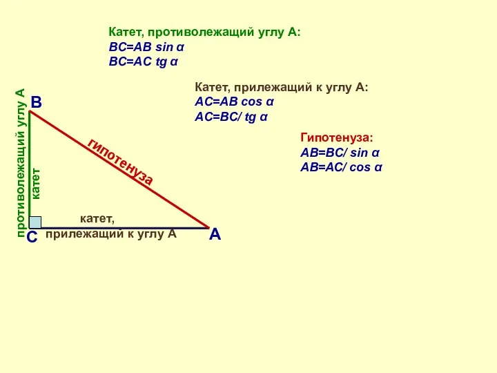 Катет, противолежащий углу А: BС=AB sin α BС=AC tg α Катет,