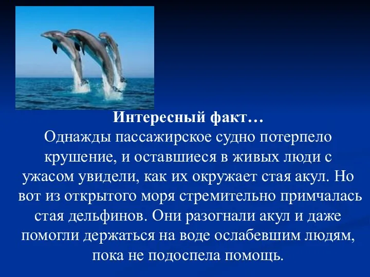 Интересный факт… Однажды пассажирское судно потерпело крушение, и оставшиеся в живых