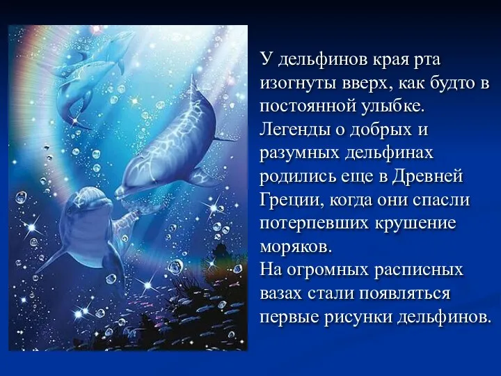 У дельфинов края рта изогнуты вверх, как будто в постоянной улыбке.