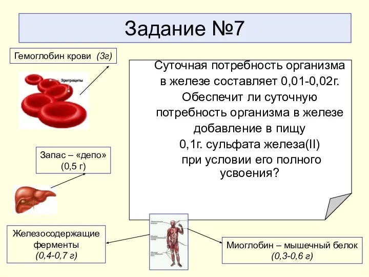 Задание №7 Суточная потребность организма в железе составляет 0,01-0,02г. Обеспечит ли