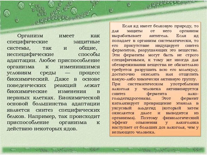 Организм имеет как специфические защитные системы, так и общие, неспецифические способы