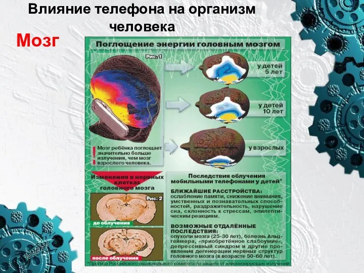 Влияние телефона на организм человека Мозг