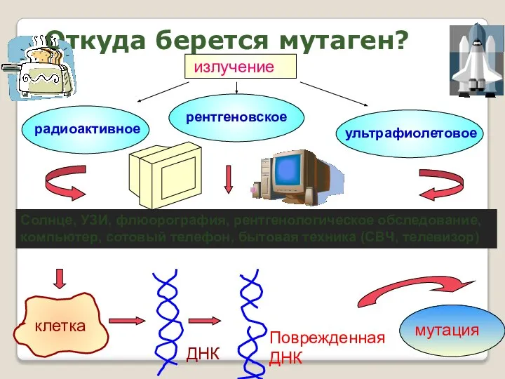 Откуда берется мутаген? излучение радиоактивное рентгеновское ультрафиолетовое Солнце, УЗИ, флюорография, рентгенологическое