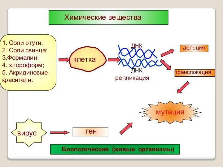 Химические вещества 1. Соли ртути; 2. Соли свинца; 3.Формалин; 4. хлороформ;