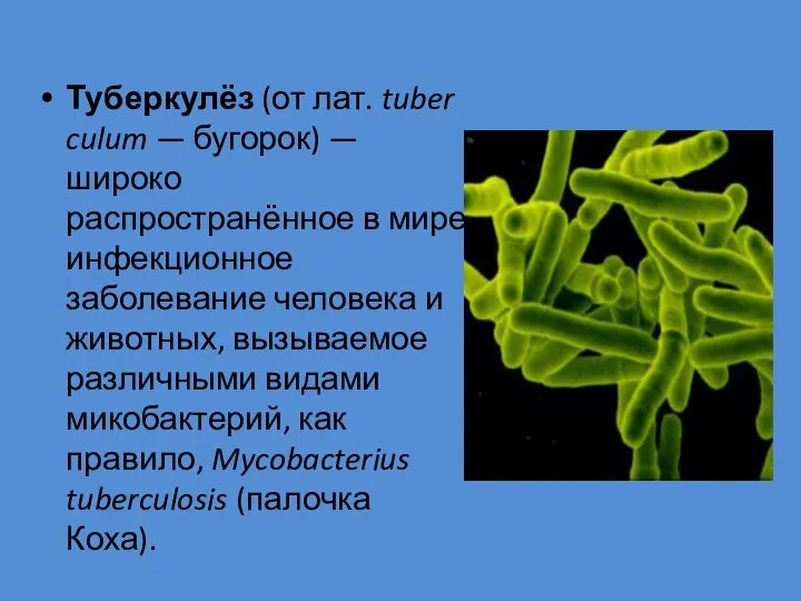 Туберкулёз (от лат. tuberculum — бугорок) — широко распространённое в мире