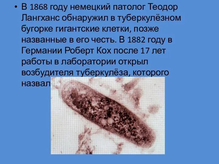 В 1868 году немецкий патолог Теодор Лангханс обнаружил в туберкулёзном бугорке