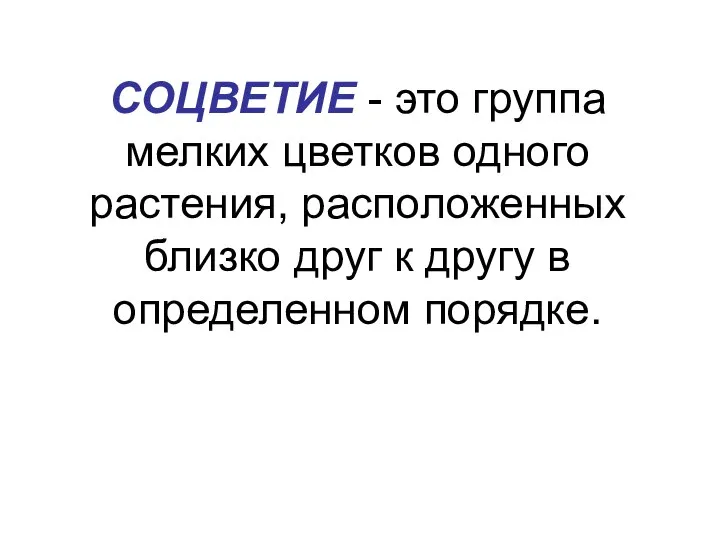 СОЦВЕТИЕ - это группа мелких цветков одного растения, расположенных близко друг к другу в определенном порядке.