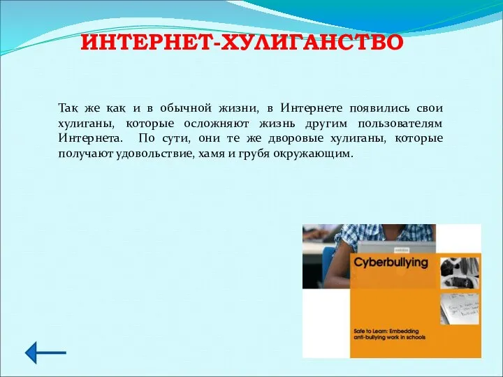 ИНТЕРНЕТ-ХУЛИГАНСТВО Так же как и в обычной жизни, в Интернете появились