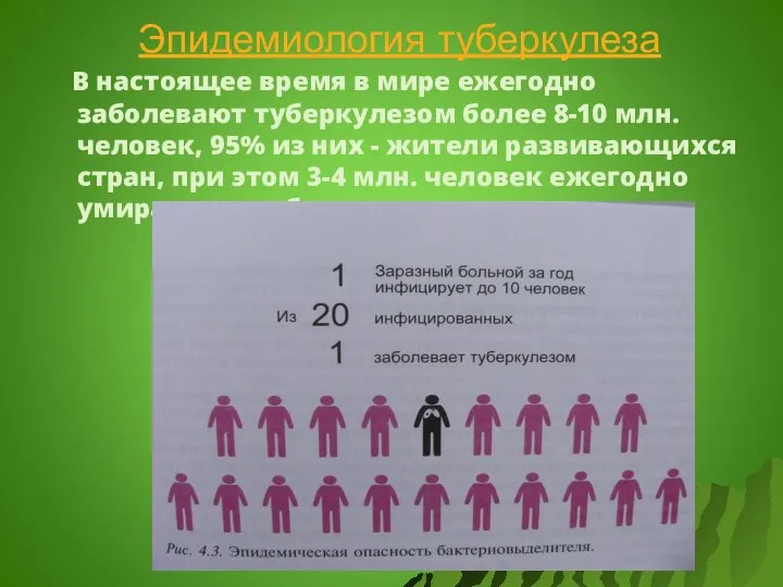 Эпидемиология туберкулеза В настоящее время в мире ежегодно заболевают туберкулезом более