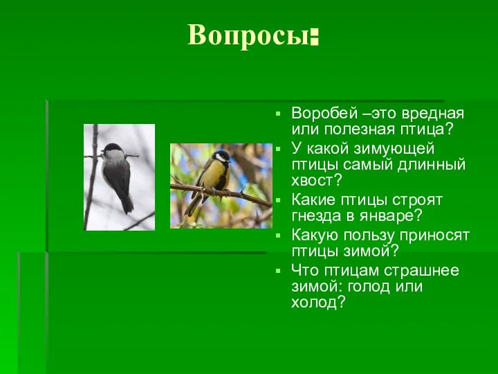 Вопросы: Воробей –это вредная или полезная птица? У какой зимующей птицы