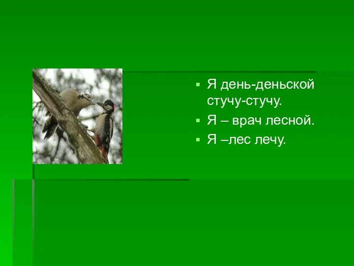 Я день-деньской стучу-стучу. Я – врач лесной. Я –лес лечу.