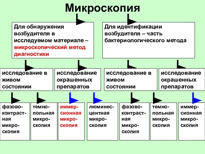 Микроскопия Для обнаружения возбудителя в исследуемом материале – микроскопический метод диагностики