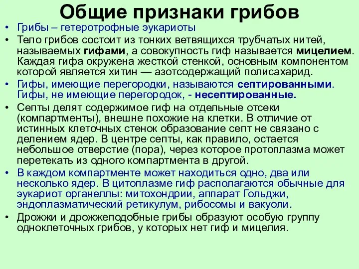 Общие признаки грибов Грибы – гетеротрофные эукариоты Тело грибов состоит из