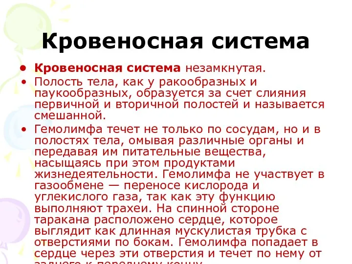 Кровеносная система Кровеносная система незамкнутая. Полость тела, как у ракообразных и