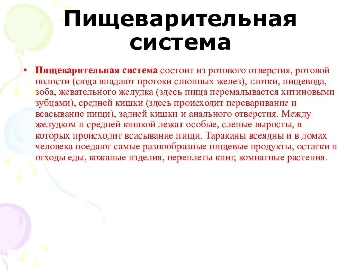 Пищеварительная система Пищеварительная система состоит из ротового отверстия, ротовой полости (сюда