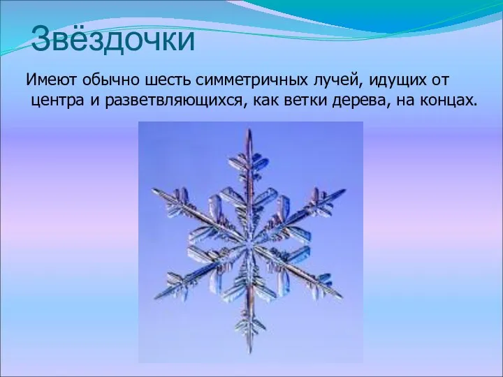 Звёздочки Имеют обычно шесть симметричных лучей, идущих от центра и разветвляющихся, как ветки дерева, на концах.