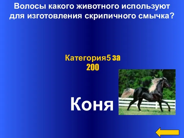 Волосы какого животного используют для изготовления скрипичного смычка? Коня Категория5 за 200