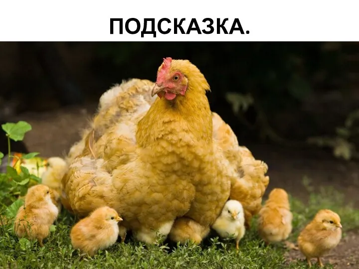 ПОДСКАЗКА.