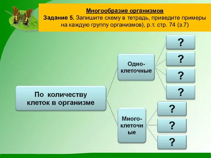 Многообразие организмов Задание 5. Запишите схему в тетрадь, приведите примеры на