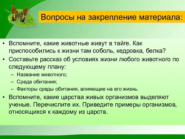 Вопросы на закрепление материала: Вспомните, какие животные живут в тайге. Как