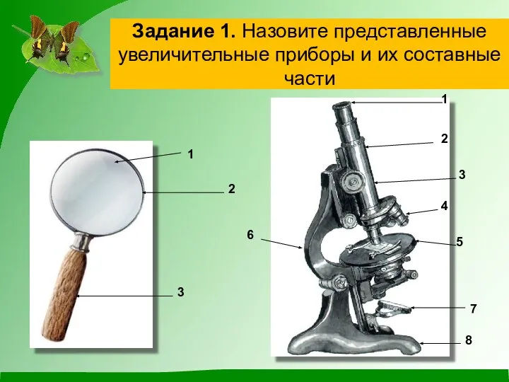 Задание 1. Назовите представленные увеличительные приборы и их составные части