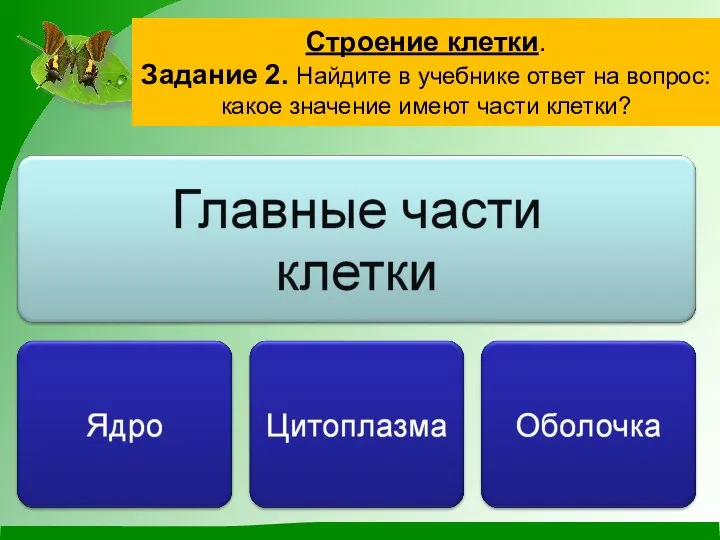 Строение клетки. Задание 2. Найдите в учебнике ответ на вопрос: какое значение имеют части клетки?