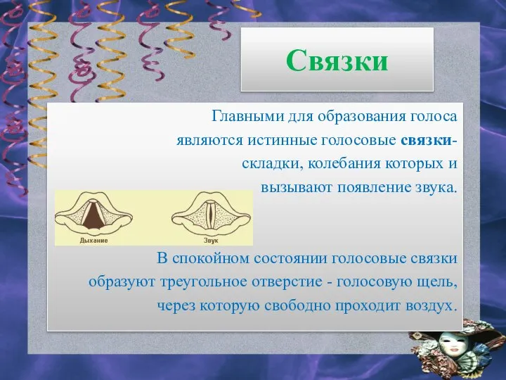 Связки Главными для образования голоса являются истинные голосовые связки- складки, колебания