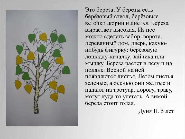 Это береза. У березы есть берёзовый ствол, берёзовые веточки ,корни и