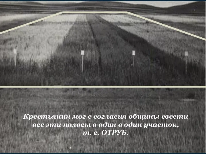 Крестьянин мог с согласия общины свести все эти полосы в один