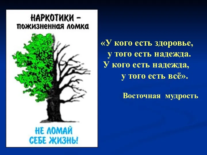 «У кого есть здоровье, у того есть надежда. У кого есть