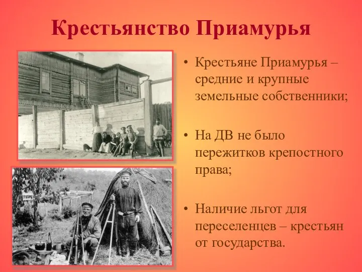 Крестьянство Приамурья Крестьяне Приамурья – средние и крупные земельные собственники; На