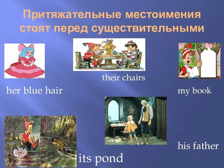 Притяжательные местоимения стоят перед существительными her blue hair its pond my book their chairs his father