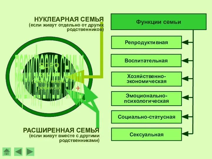 периферия семьи НУКЛЕАРНАЯ СЕМЬЯ (если живут отдельно от других родственников) РАСШИРЕННАЯ