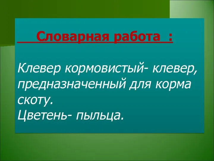 Словарная работа : Клевер кормовистый- клевер, предназначенный для корма скоту. Цветень- пыльца.