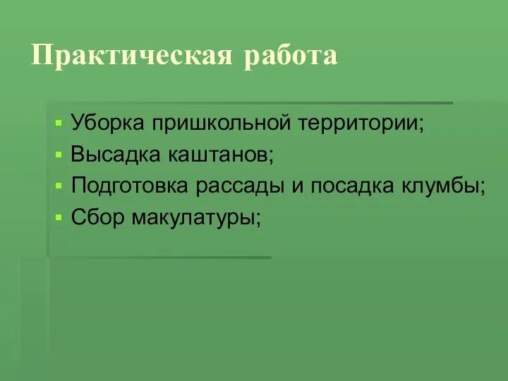 Уборка пришкольной территории; Высадка каштанов; Подготовка рассады и посадка клумбы; Сбор макулатуры; Практическая работа