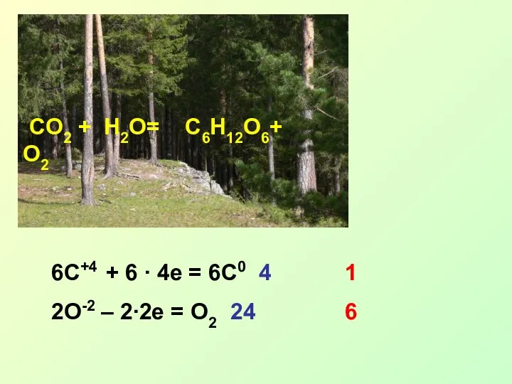CO2 + H2O= C6H12O6+ O2 6C+4 + 6 ∙ 4e =