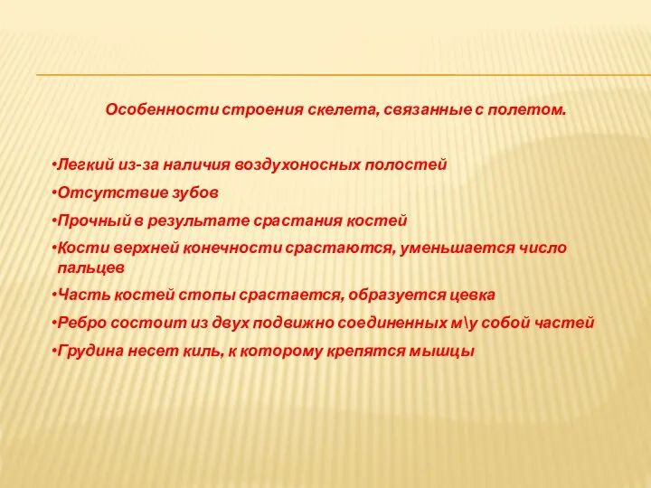 Особенности строения скелета, связанные с полетом. Легкий из-за наличия воздухоносных полостей