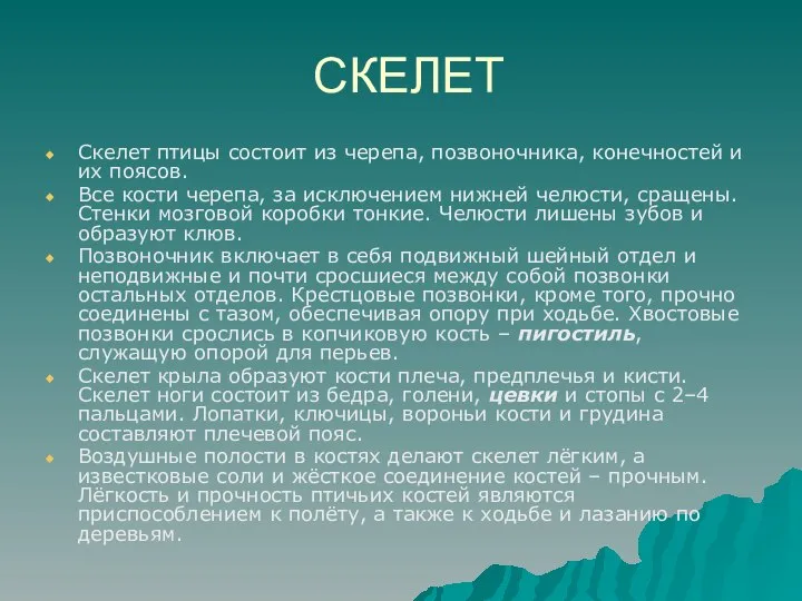 СКЕЛЕТ Скелет птицы состоит из черепа, позвоночника, конечностей и их поясов.