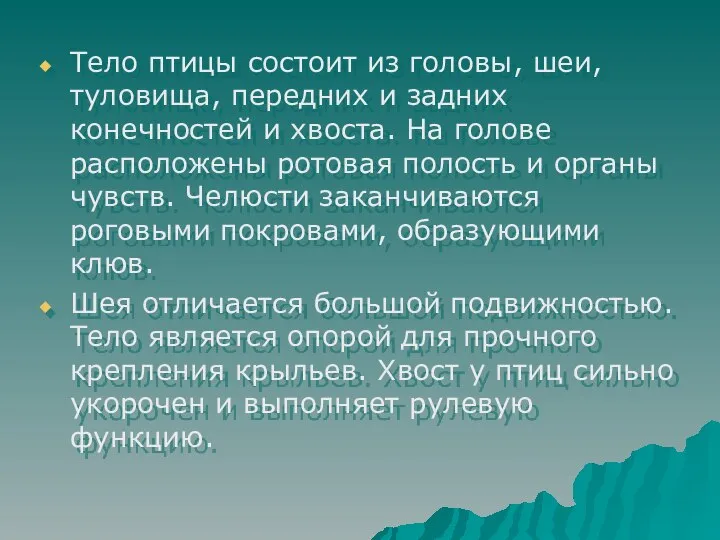 Тело птицы состоит из головы, шеи, туловища, передних и задних конечностей