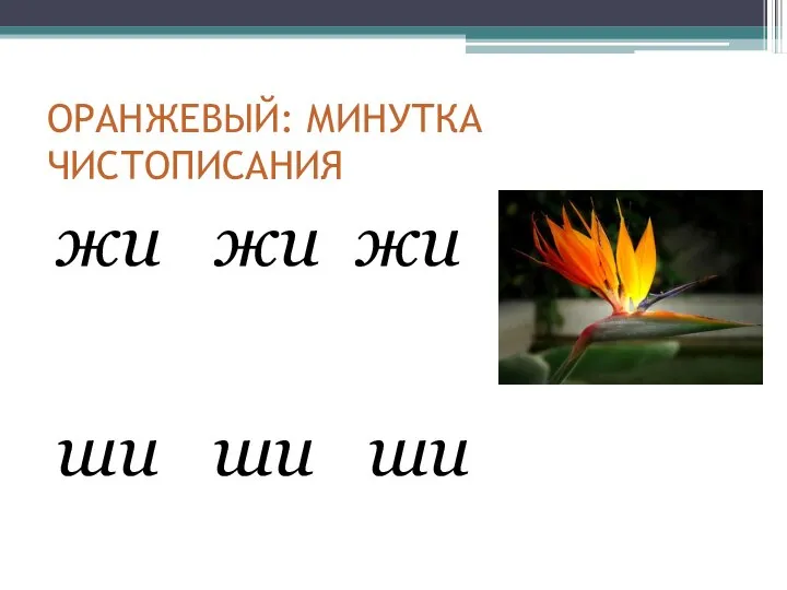 ОРАНЖЕВЫЙ: МИНУТКА ЧИСТОПИСАНИЯ жи жи жи ши ши ши